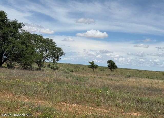 Property at 0 S CR 525, Brownfield, TX 79316