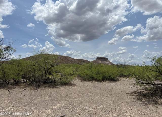 Property at Lots 11-24 Sec 65 Block 2 T&p Presidio County, Presidio, TX 79845