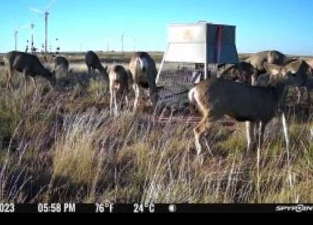 Property at 397 County Road 160, Southland, TX 79364