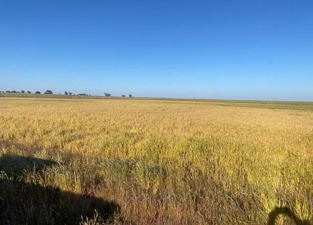 Property at 0 Private Road 1420, Wolfforth, TX 79382