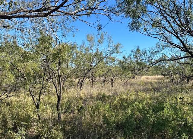 Property at 0 Fagan, Justiceburg, TX 79549