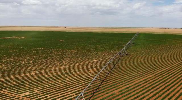 Photo of 120 Cr, Plains, TX 79355