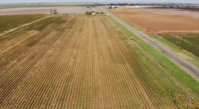 Photo of 4070 S FM 168, Ropesville, TX 79358