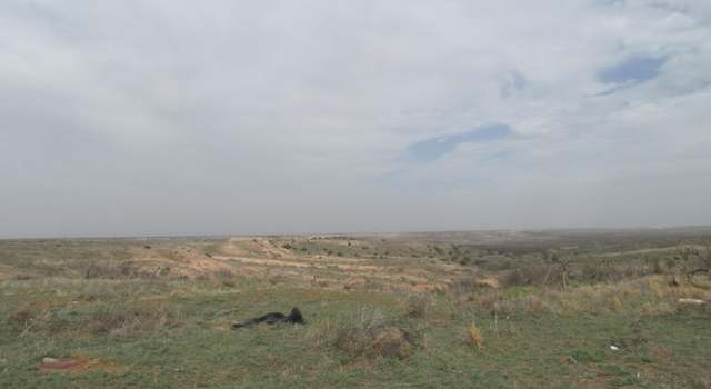 Photo of 13001 E County Rd 7700, Slaton, TX 79364