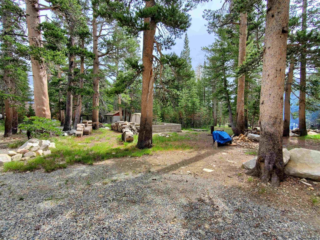 6 Lodgepole Dr 18, Virginia Lakes, CA 93517 MLS 230470 Redfin