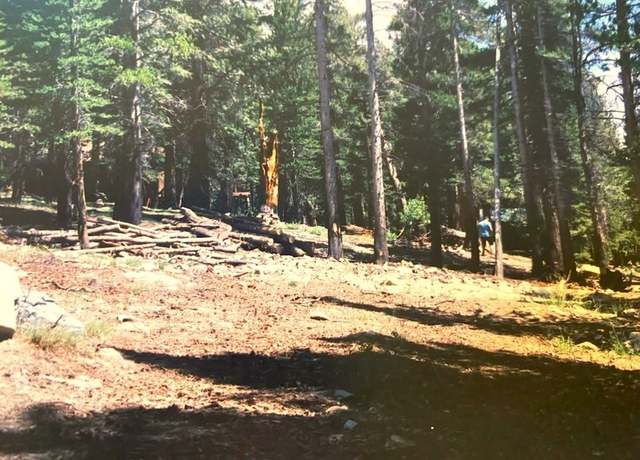 Property at 90 Pinecrest #8, Virginia Lakes, CA 93517