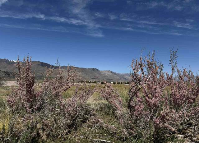 Property at Hare Ct Hare Ct Eastside Ln Unit 51-003, Coleville, CA 96107