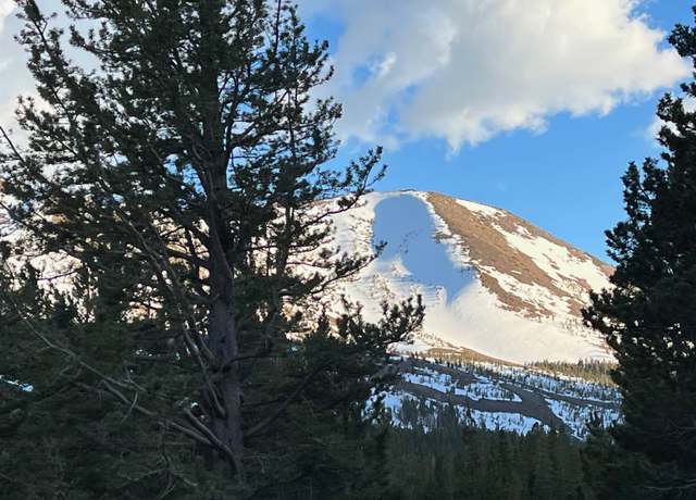 Property at Lot# 1 Tamarack Ln Lot 1, Virginia Lakes, CA 93517