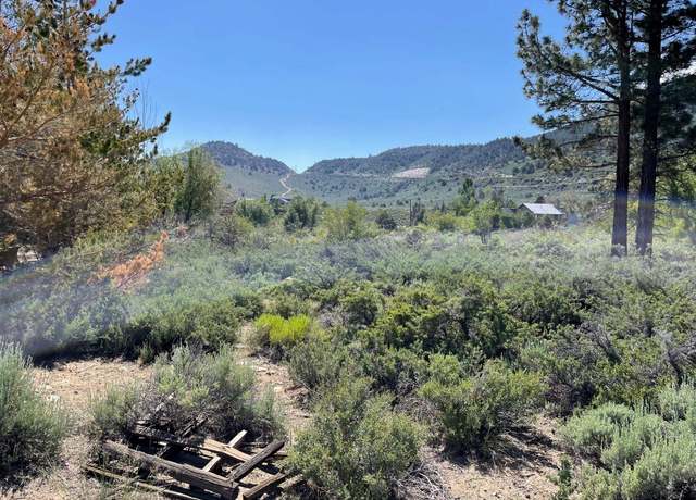 Property at Lot 25 &S. Landing Rd #26, Crowley Lake, CA 93546