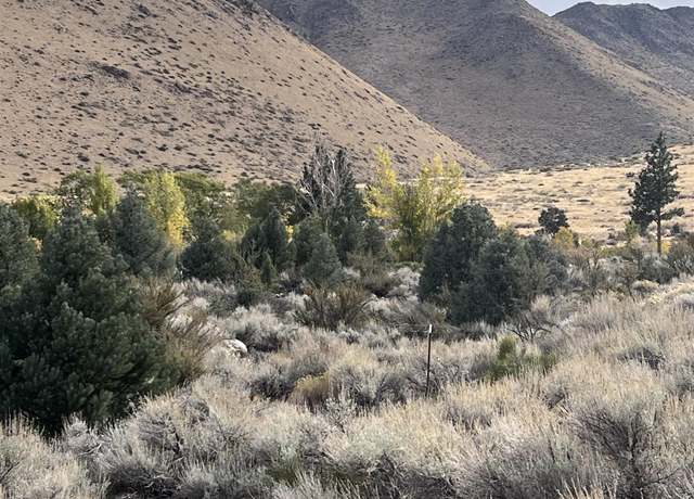 Property at Lot # 10 Mill Creek Dr Lot 10, Coleville, CA 96107