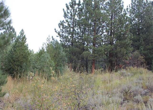 Property at 265 Westwood Dr #14, Bridgeport, CA 93517