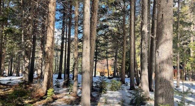 Photo of Lot 2 Minaret Rd #29, June Lake, CA 93529