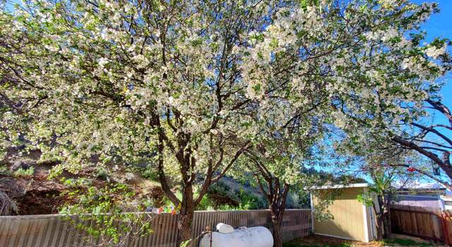 Photo of 18 Eagle Peak Rd, Bridgeport, CA 93517
