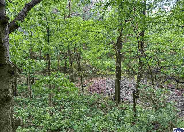 Property at Lot #1 N Cory Staunton Rd, Brazil, IN 47834