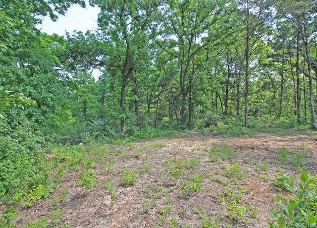 Property at 4801 County Road 480, Tebbetts, MO 65080