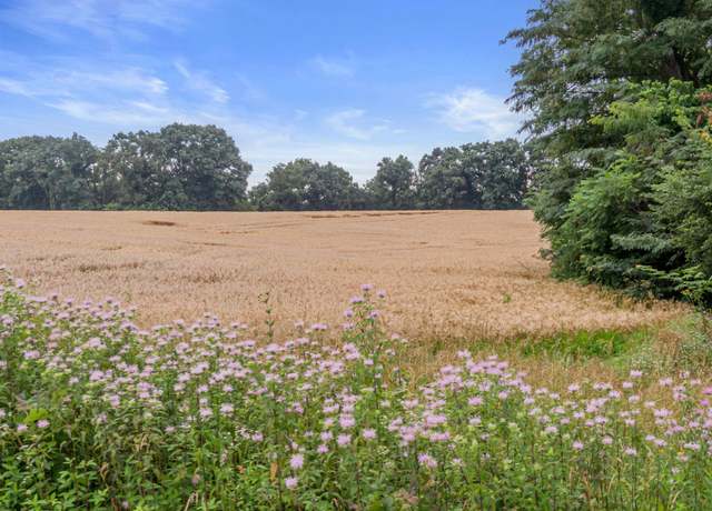 Property at TBD Hwy NN (20 Acres +/-), Pilot Grove, MO 65276