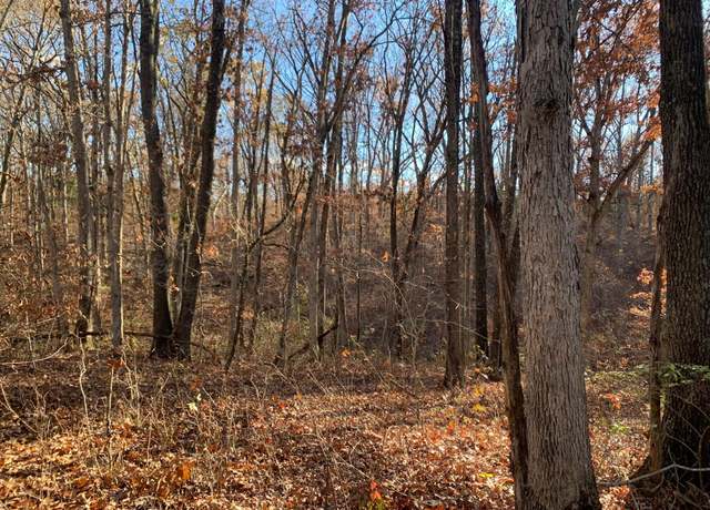 Property at 9.04 ACRES N Ridge Rd, Harrisburg, MO 65256