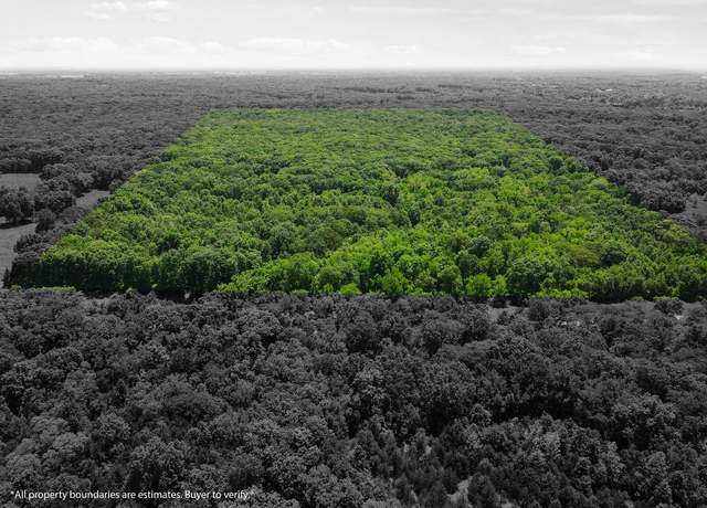 Property at 40 ACRES N Phillipe Rd, Hallsville, MO 65255