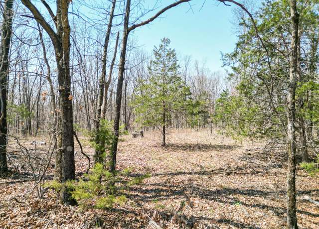 Property at Tract 2 State Route A, Higbee, MO 65257