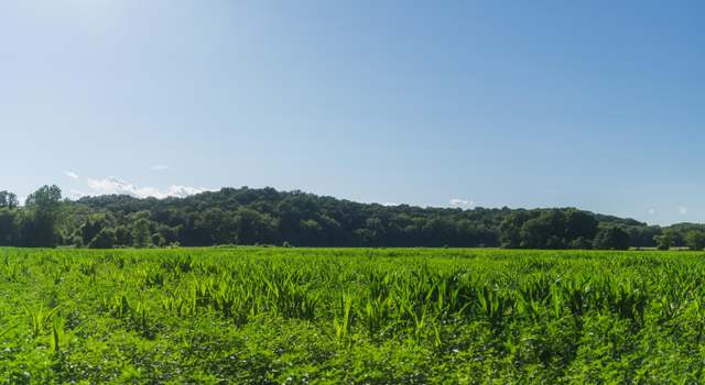 Photo of N Locust Grove Church Rd, Columbia, MO 65201