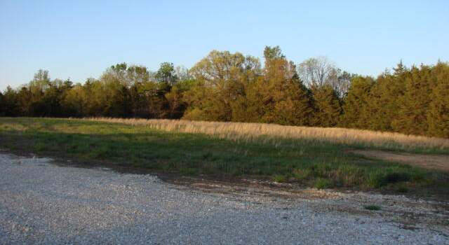 Photo of LOT 7 Route Y, New Bloomfield, MO 65063