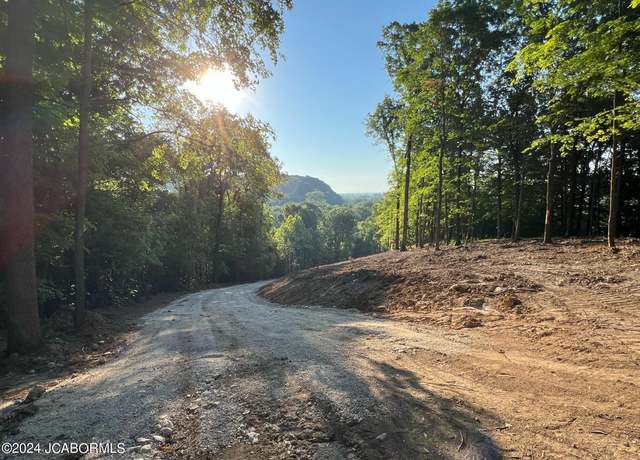 Property at TBD County Road 457 (15 Acres), Steedman, MO 65077