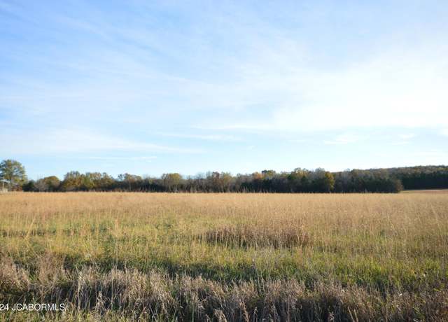 Property at LOT 6 CO RD 191 Arrow Airpark Subd., Flemington, MO 65650