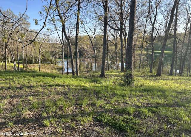 Property at LOT 6 Birdie Hill Rd, Holts Summit, MO 65043