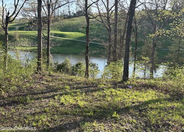 Property at LOT 8 Birdie Hill Rd, Holts Summit, MO 65043