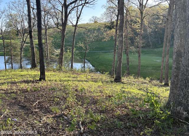 Property at LOT 9 Birdie Hill Rd, Holts Summit, MO 65043