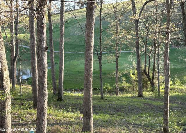 Property at LOT 10 Birdie Hill Rd, Holts Summit, MO 65043