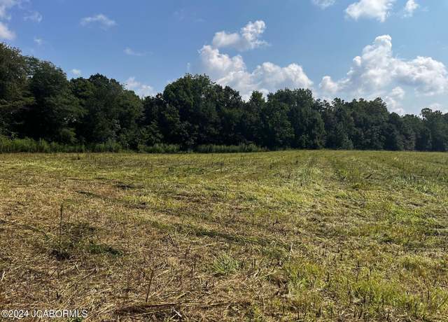 Property at TBD Brick School Rd, Clarksburg, MO 65025