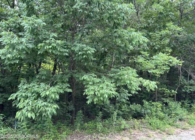 Property at LOT 38 Sterling Rdg, Holts Summit, MO 65043