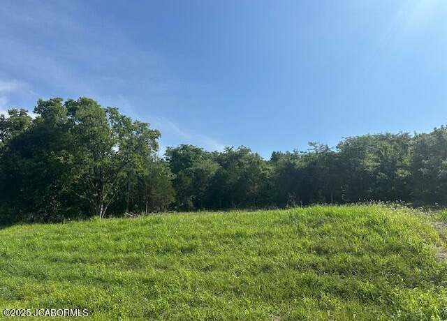 Property at 2235 Lorenzo Greene Dr, Jefferson City, MO 65101