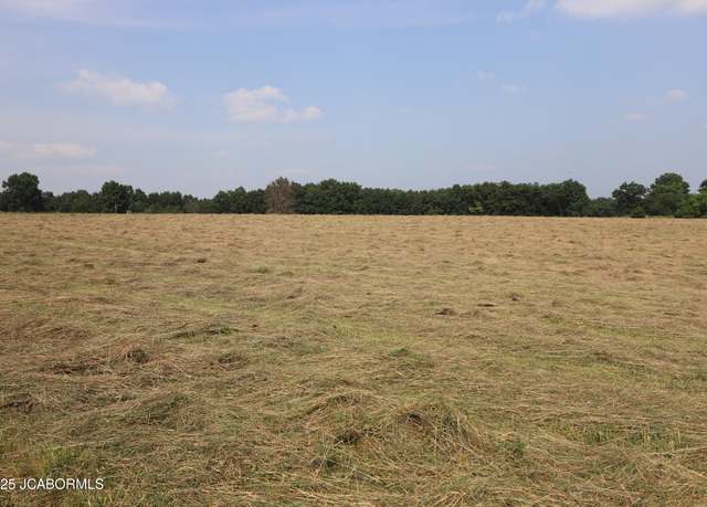 Property at TBD Tract #1 - State RD M, Auxvasse, MO 65231