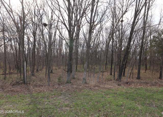 Property at TBD 5 Acres County RD 144 Tract1, Williamsburg, MO 63388