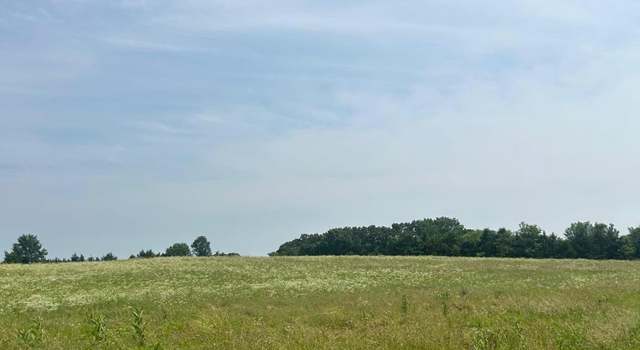 Photo of TBD Wieneke Branch Rd, Walker Township, MO 65018