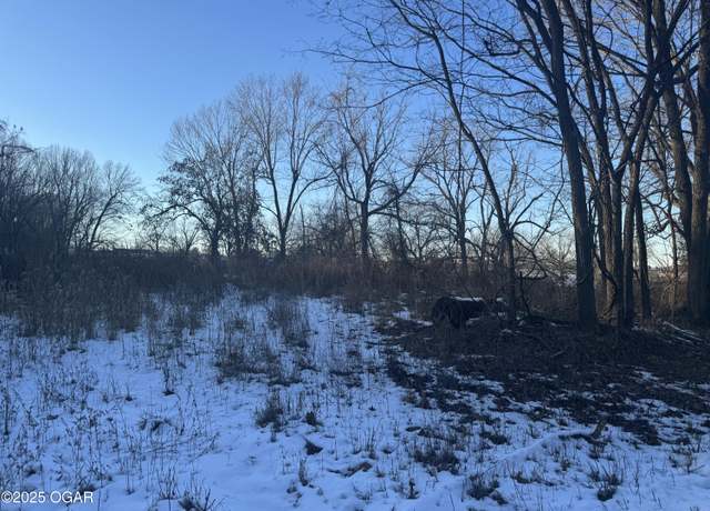 Property at 104 Cemetery Rd, Neosho, MO 64850
