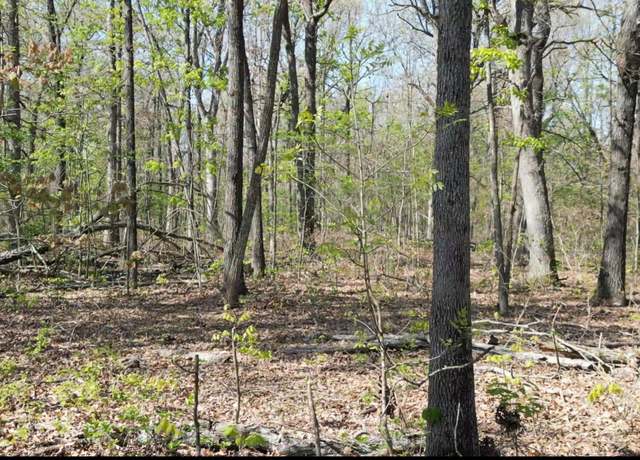 Property at 000 Plainview Rd, Anderson, MO 64831
