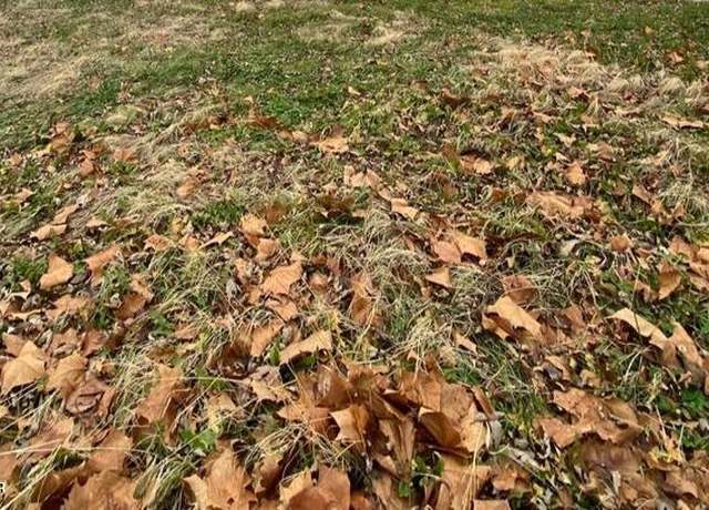 Property at 1018 Sophia St, Carthage, MO 64836