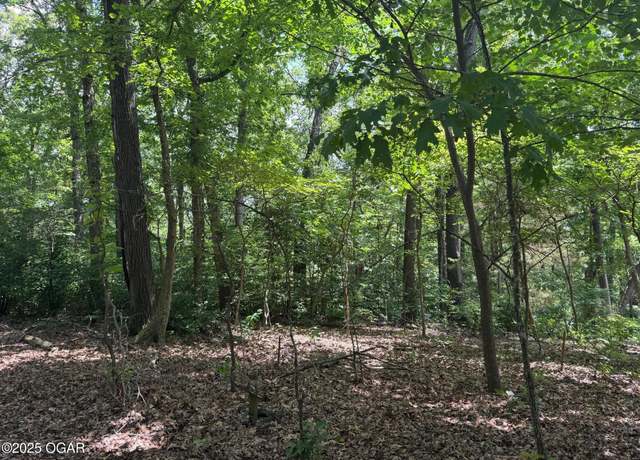 Property at 000 Twin Springs Dr, Cassville, MO 65625