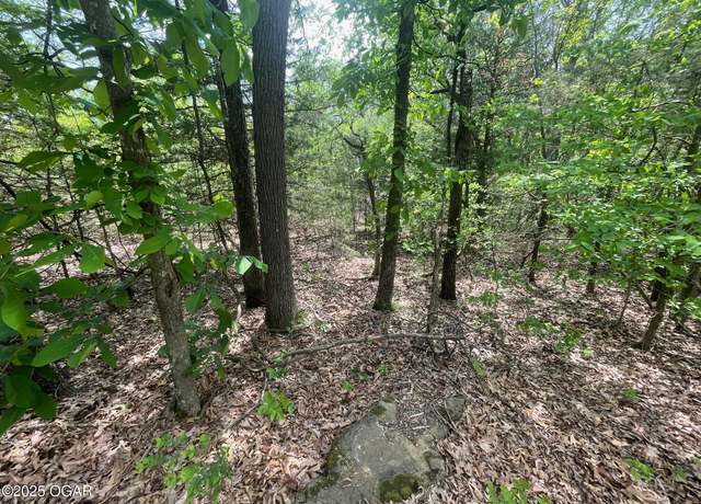 Property at 1485 Cowan Ridge Rd, Powell, MO 65730