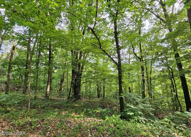 Property at 20 ac Jesse James Rd, Pineville, MO 64856