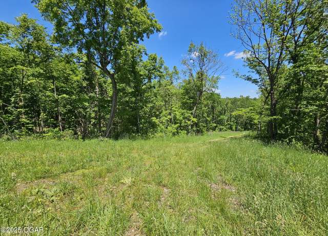 Property at 690 Town Hollow Rd, Anderson, MO 64831