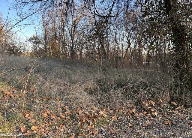 Property at TBD S 4th, Oronogo, MO 64855