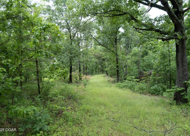 Property at 19.5 Neil Robinson Rd, Anderson, MO 64831