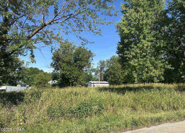 Property at 301 Lyle St, West Mineral, KS 66782