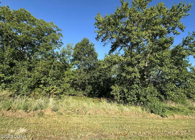 Property at 503 Janett St, West Mineral, KS 66782