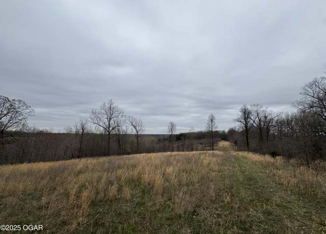 Property at 000 Buckeye Ln, Stella, MO 64867