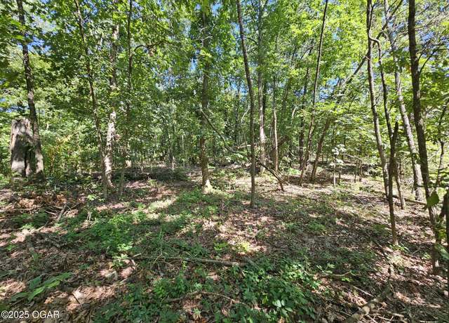 Property at 65 acres Plainview Rd, Anderson, MO 64831